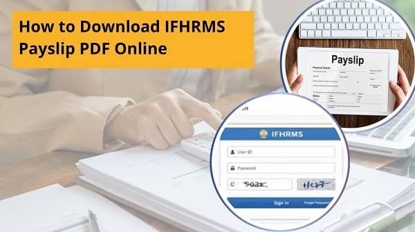 How to Download IFHRMS Payslip PDF Online